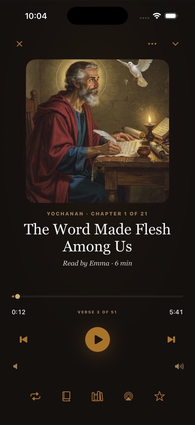 The audio player